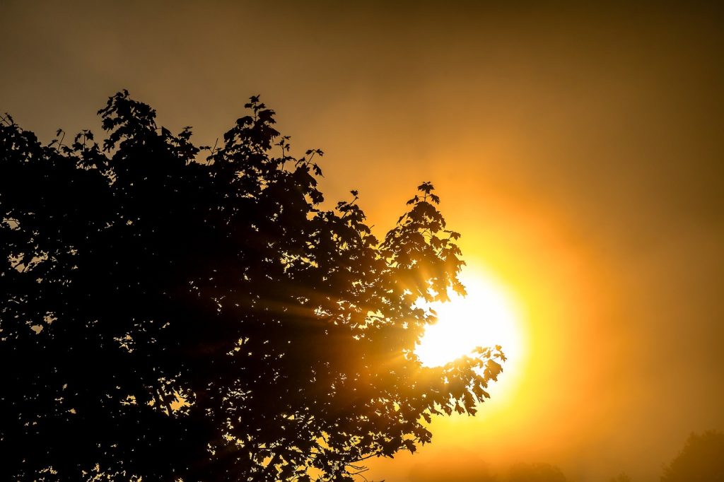 Utnytt solenergien med solfangere kombinert med varmepumpen